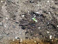IMG_20201008_095952.jpg