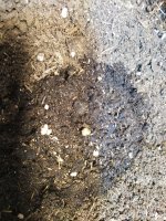 IMG_20201009_203144.jpg