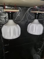 IMG_20201010_174210.jpg
