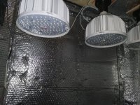 IMG_20201010_174741.jpg