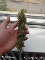 IMG_20200712_120727.jpg