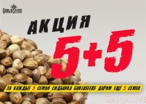 ГС 5+5 700х500.jpg