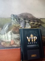 IMG_20201016_124539.jpg