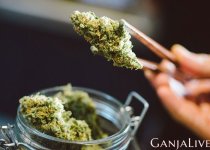marihuana1.jpg