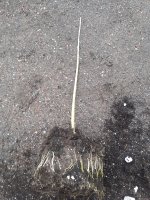 20201023_155721.jpg