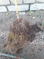 20201023_160516.jpg