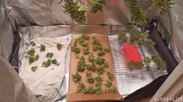 photo_2020-10-25_22-30-07 (4).jpg