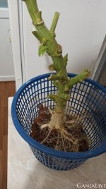 photo_2020-10-25_22-30-07 (2).jpg