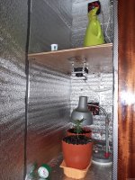 20201027_144740.jpg