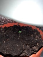 20201027_144759.jpg