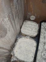 IMG_20201027_204636.jpg