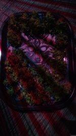 IMG_20201028_135126.jpg