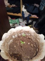 1603913593211.jpg