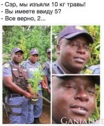 -xDehRA6QSA.jpg
