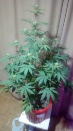 20201101_200453.jpg