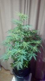 20201101_200044.jpg