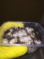 IMG_0528.JPG