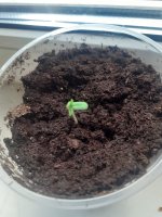 20201107_135820.jpg