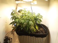 20201110_173203.jpg 20201110_173203.jpg
