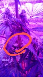 20201111_224827~3.jpg