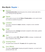 Screenshot_2020-11-13 Buy Blue Mystic regular seeds at – Nirvana Shop.png