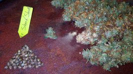 IMG_20201111_215502.jpg