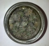 post46pic3.jpg