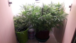 20201116_102437.jpg