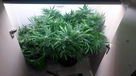 20201116_102444.jpg