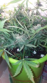 20201116_102458.jpg