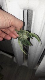 20201116_102541.jpg