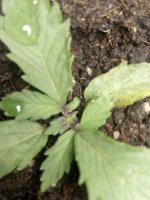 IMG_20201116_192927.jpg