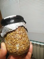 IMG_20201116_081606.jpg