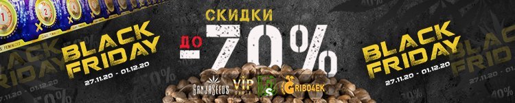 750х150.jpg