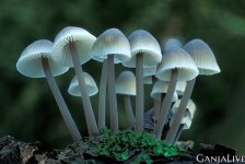 339afbae4c0152b2b94e0ddf04fe6ec6.jpg