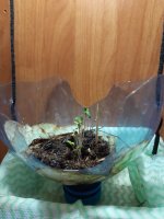 20201126_142220.jpg