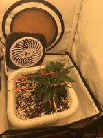 DDA92CBC-CA85-45FF-BE49-DDAC785B15C3.jpeg