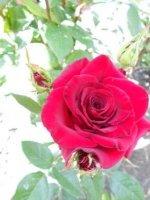 DSCN1825.JPG