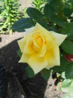 DSCN1826.JPG