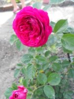DSCN1827.JPG