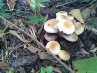 2012-08-01 18.43.22.jpg