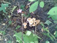 2012-08-01 18.43.40.jpg
