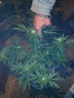 IMG_20130527_231844.jpg