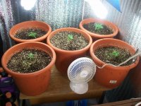 100_2136.JPG