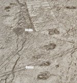 struktury-v-atacama-2.jpg