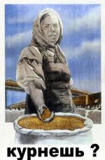 курнёшь.jpg