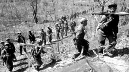 1950066.jpg 1950066.jpg