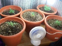100_2151.JPG