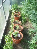 100_2161.JPG