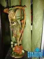 DSC02784.JPG